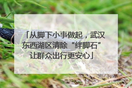 从脚下小事做起，武汉东西湖区清除“绊脚石”让群众出行更安心