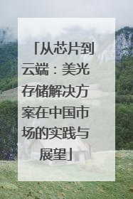 从芯片到云端：美光存储解决方案在中国市场的实践与展望