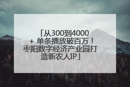从300到4000+ 单条播放破百万！枣阳数字经济产业园打造新农人IP