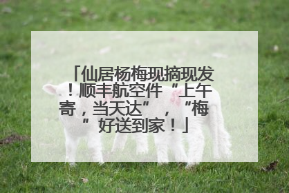 仙居杨梅现摘现发！顺丰航空件“上午寄，当天达”，“梅”好送到家！