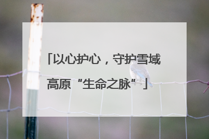 以心护心，守护雪域高原“生命之脉”