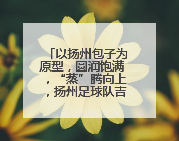 以扬州包子为原型，圆润饱满，“蒸”腾向上，扬州足球队吉祥物“包赢”亮相即售罄