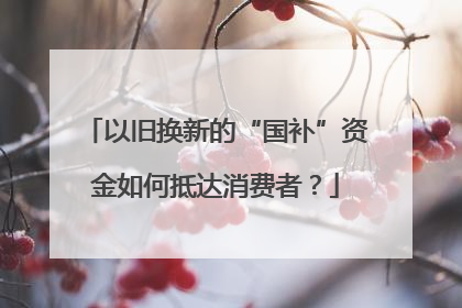以旧换新的“国补”资金如何抵达消费者？
