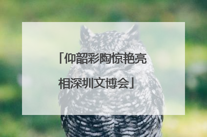 仰韶彩陶惊艳亮相深圳文博会