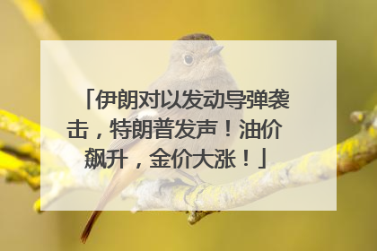 伊朗对以发动导弹袭击，特朗普发声！油价飙升，金价大涨！