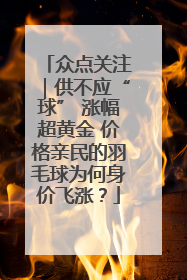 众点关注｜供不应“球” 涨幅超黄金 价格亲民的羽毛球为何身价飞涨？