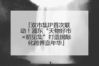双市集IP首次联动！浦东“天物好市×初见集”打造国际化跨界嘉年华