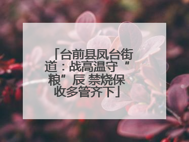 台前县凤台街道：战高温守“粮”辰 禁烧保收多管齐下