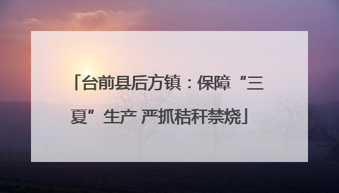 台前县后方镇：保障“三夏”生产 严抓秸秆禁烧