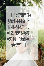 台湾同胞随州共植“同根林”，那是跨越海峡的“绿色情诗”