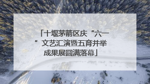 十堰茅箭区庆“六一”文艺汇演暨五育并举成果展圆满落幕