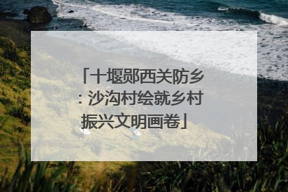 十堰郧西关防乡：沙沟村绘就乡村振兴文明画卷