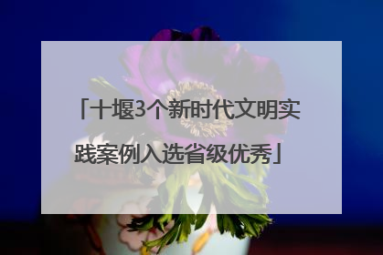 十堰3个新时代文明实践案例入选省级优秀