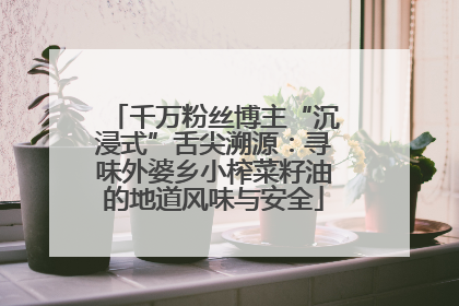 千万粉丝博主“沉浸式”舌尖溯源：寻味外婆乡小榨菜籽油的地道风味与安全