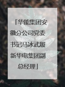 华能集团安徽分公司党委书记马冰武履新华电集团副总经理