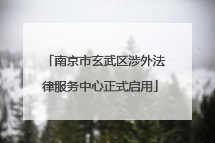 南京市玄武区涉外法律服务中心正式启用