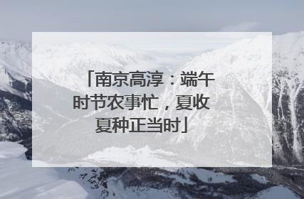南京高淳：端午时节农事忙，夏收夏种正当时