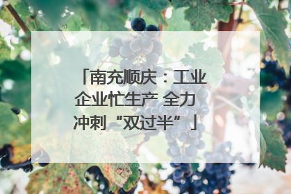 南充顺庆：工业企业忙生产 全力冲刺“双过半”