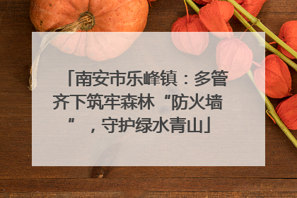 南安市乐峰镇：多管齐下筑牢森林“防火墙”，守护绿水青山