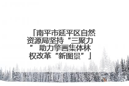 南平市延平区自然资源局坚持“三聚力” 助力擎画集体林权改革“新图景”