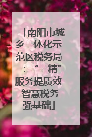 南阳市城乡一体化示范区税务局：“三精”服务提质效 智慧税务强基础