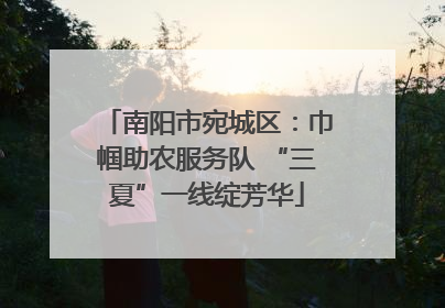 南阳市宛城区：巾帼助农服务队 “三夏”一线绽芳华