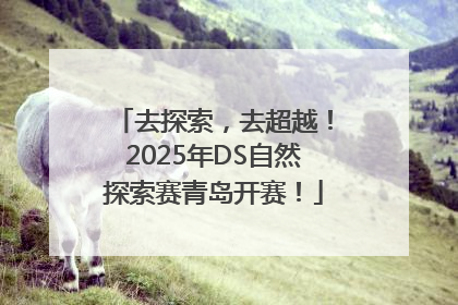 去探索，去超越！2025年DS自然探索赛青岛开赛！
