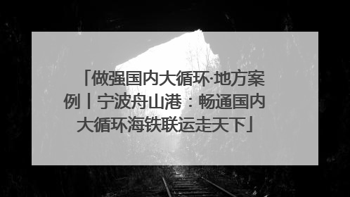 做强国内大循环·地方案例丨宁波舟山港：畅通国内大循环海铁联运走天下