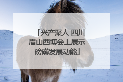 兴产聚人 四川眉山西博会上展示磅礴发展动能