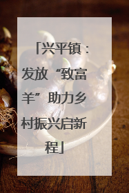 兴平镇：发放“致富羊”助力乡村振兴启新程