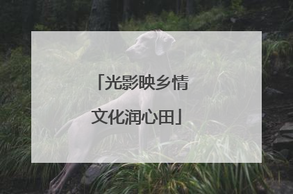 光影映乡情 文化润心田
