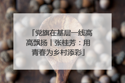 党旗在基层一线高高飘扬丨张桂芳：用青春为乡村添彩