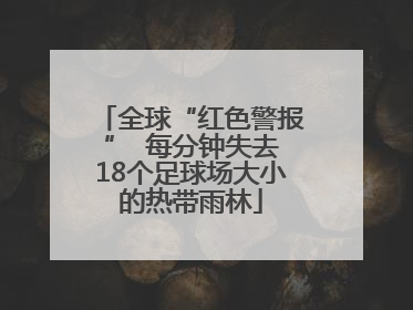 全球“红色警报”  每分钟失去18个足球场大小的热带雨林