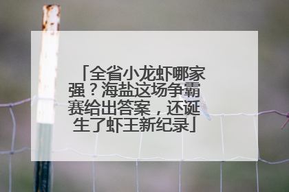 全省小龙虾哪家强？海盐这场争霸赛给出答案，还诞生了虾王新纪录