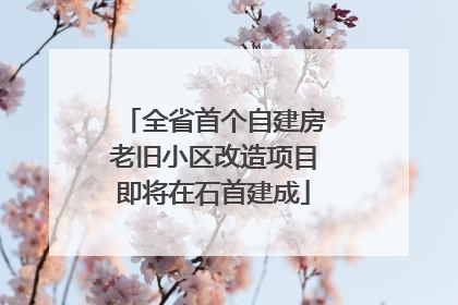 全省首个自建房老旧小区改造项目即将在石首建成