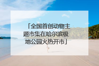 全国首创动物主题市集在哈尔滨极地公园火热开市