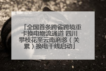 全国首条跨省跨境重卡换电物流通道 四川攀枝花至云南磨憨（关累）换电干线启动