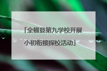 全椒县第九学校开展小初衔接探校活动