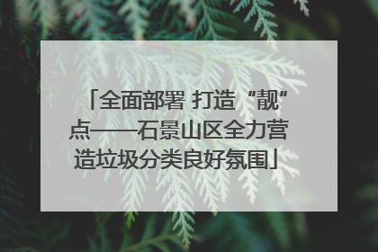 全面部署 打造“靓” 点——石景山区全力营造垃圾分类良好氛围