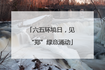 六五环境日，见“郑”绿意涌动