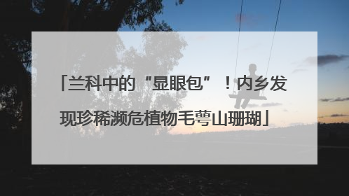 兰科中的“显眼包”！内乡发现珍稀濒危植物毛萼山珊瑚