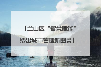 兰山区“智慧赋能”绣出城市管理新图景