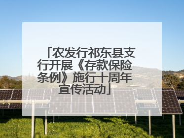 农发行祁东县支行开展《存款保险条例》施行十周年宣传活动