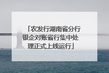 农发行湖南省分行银企对账省行集中处理正式上线运行