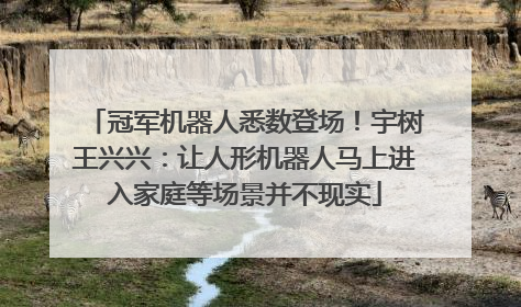 冠军机器人悉数登场！宇树王兴兴：让人形机器人马上进入家庭等场景并不现实
