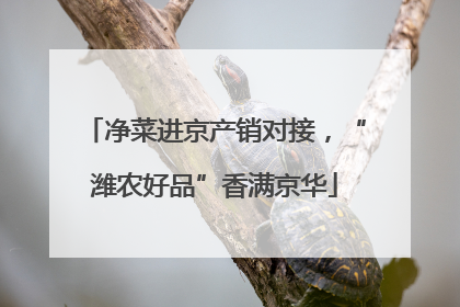 净菜进京产销对接，“潍农好品”香满京华