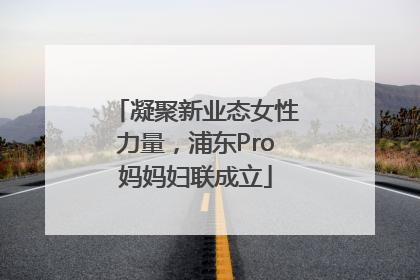 凝聚新业态女性力量，浦东Pro妈妈妇联成立