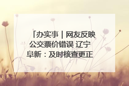办实事｜网友反映公交票价错误 辽宁阜新：及时核查更正 加强实时巡检