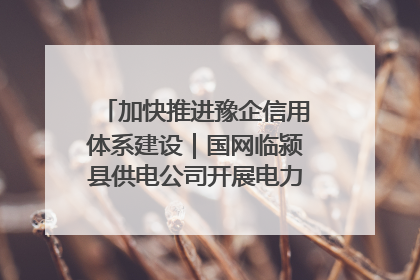 加快推进豫企信用体系建设｜国网临颍县供电公司开展电力行业信用企业现场咨询访谈工作