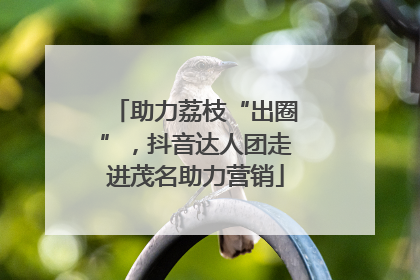 助力荔枝“出圈”，抖音达人团走进茂名助力营销